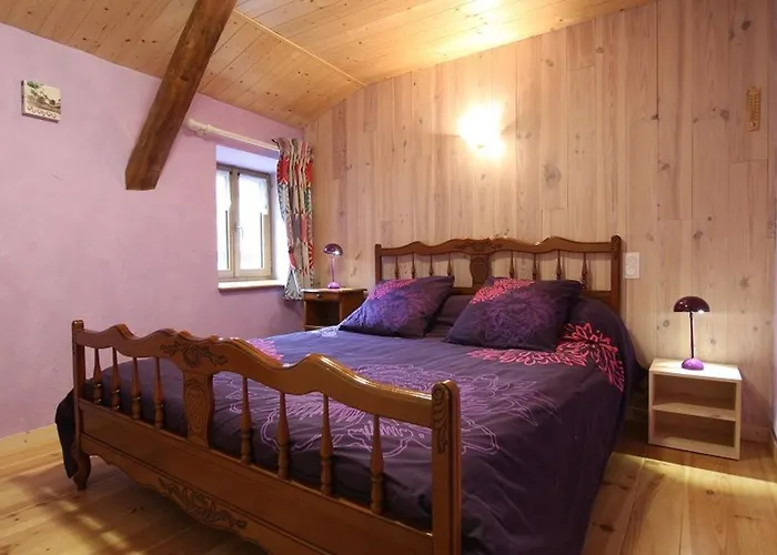 Tatil Evi Spacieux Avec Terrasse Surplombant Riviere, Ideale Pour Peche Et Sports D'eau, Inclus - Fr-1-582-17 Saint-Julien-Des-Chazes